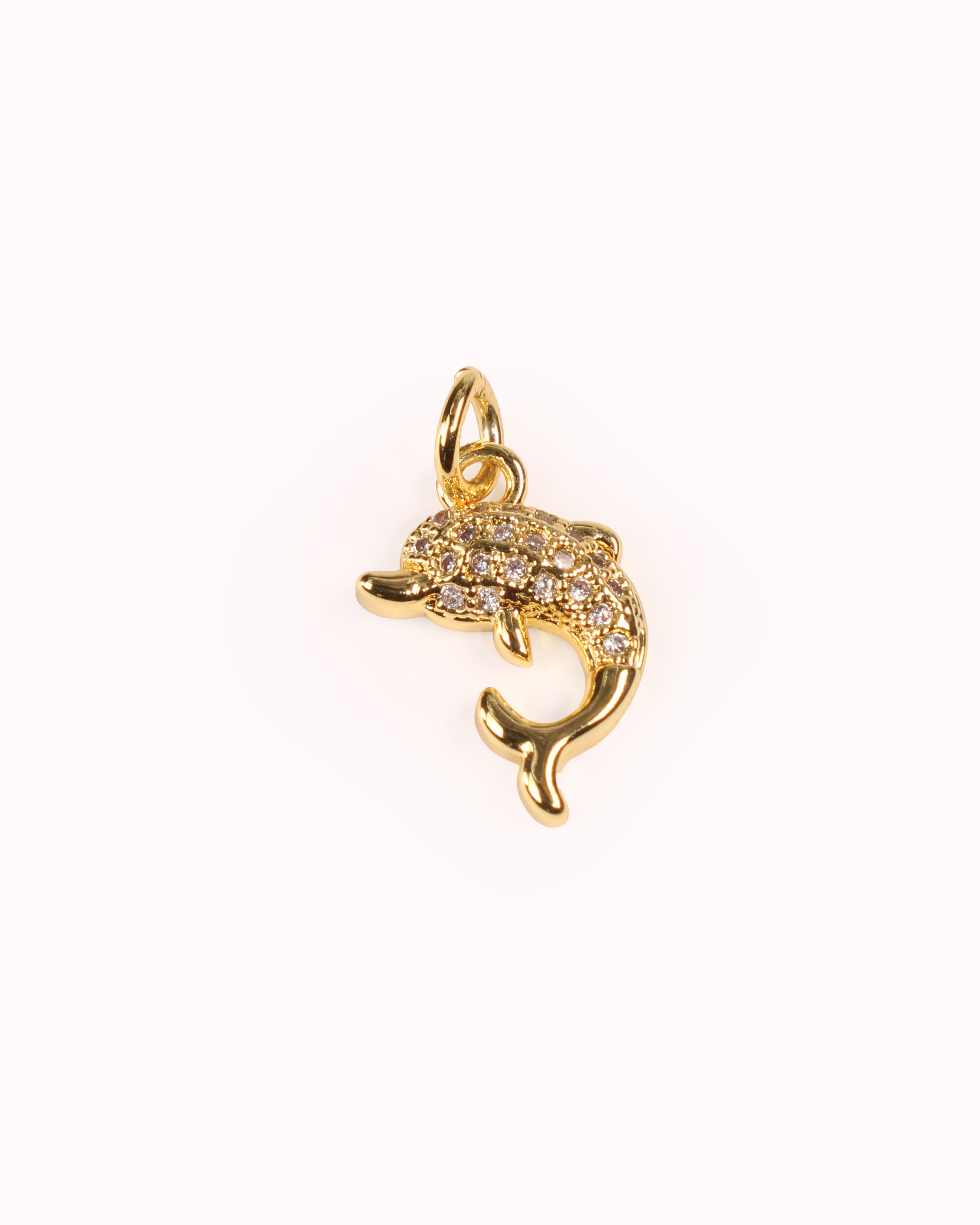 Charm Delfina